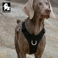 Safe-Stride No-Pull Reflective Dog Harness