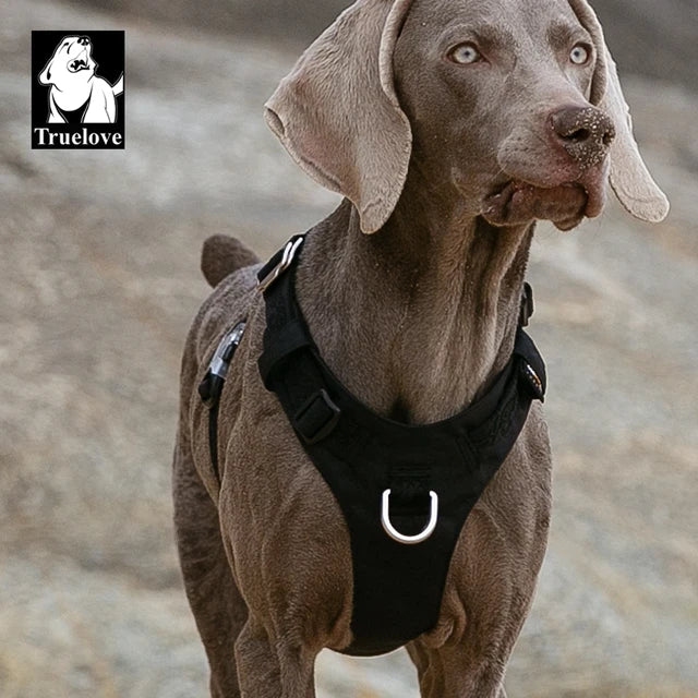 Safe-Stride No-Pull Reflective Dog Harness